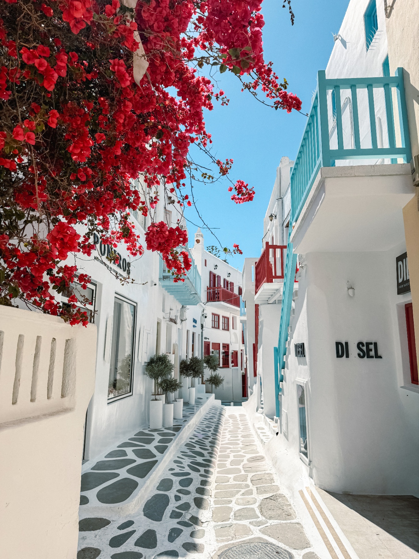 Whitewashed Mykonos alley with bright pink bougainvillea cascading over stone-paved street